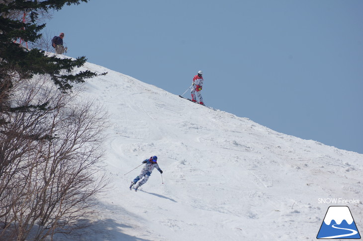 サッポロテイネ 現在積雪 215cm。山麓まで思いっきり滑れます！